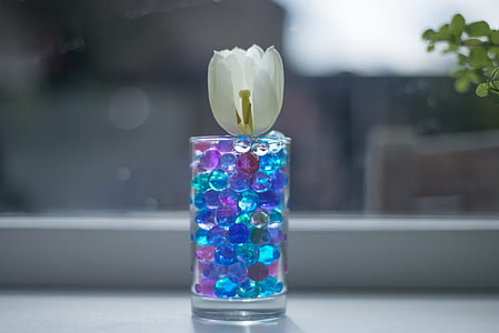tulipán, kavics, üveg, fehér, zöld, virág, Bloom