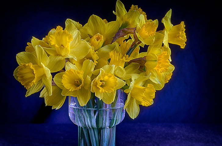vase, blomster, buket, påskeliljer, gul, amaryllidoideae