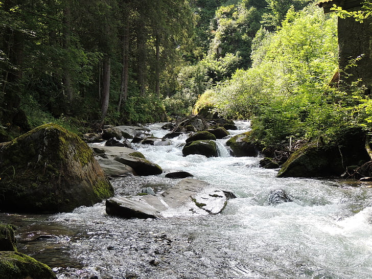 eau, Forest, rivière, nature, flux de données, chute d’eau, arbre