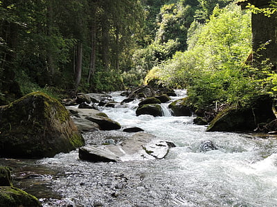 voda, Les, řeka, Příroda, datový proud, vodopád, strom