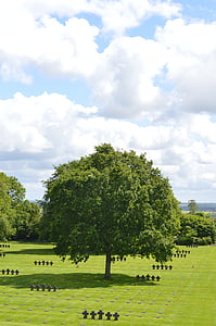 arbre, cimetière, Normandie, Dim, vert, Sky, Nuage