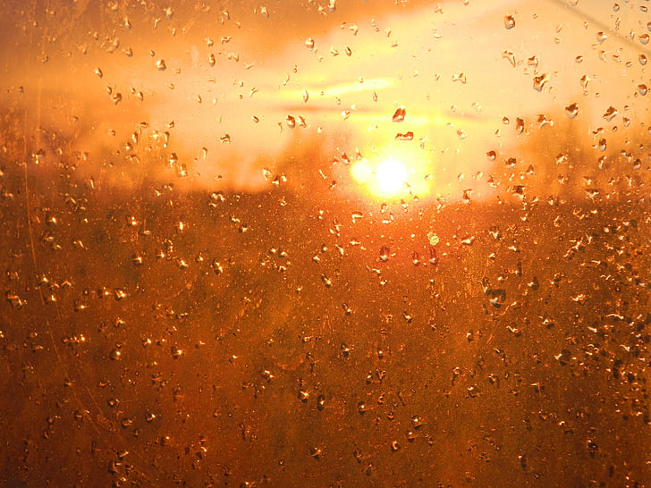 sunset, drops, evening