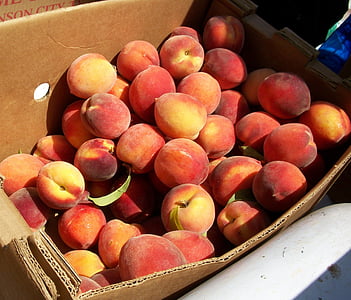 peaches, market, organic, bushel, ripe, produce, vegetarian