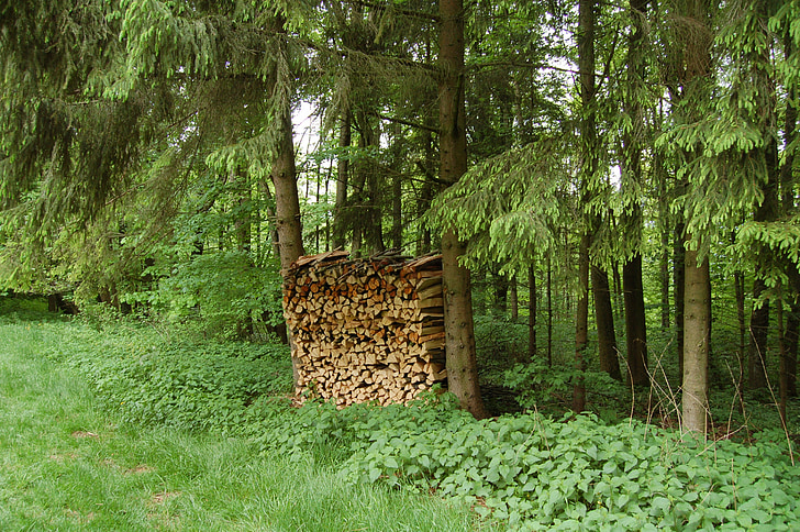 Drewno kominkowe, holzstapel, stos, nacinania gwintów grzebienie, lasu, Natura, drewno