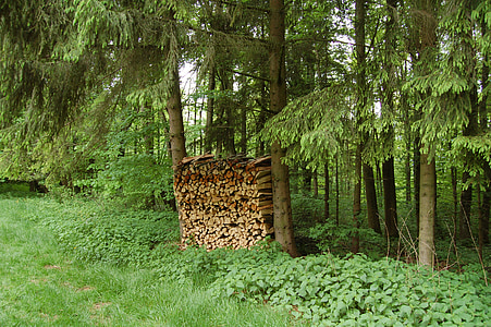 firewood, holzstapel, stack, combs thread cutting, forest, nature, wood