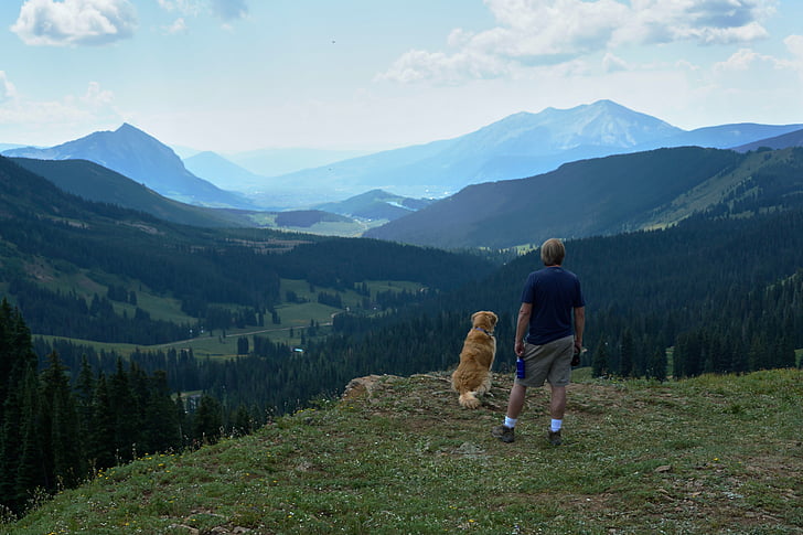 munte, Vezi, excursie pe jos, câine, peisaj, cer, albastru