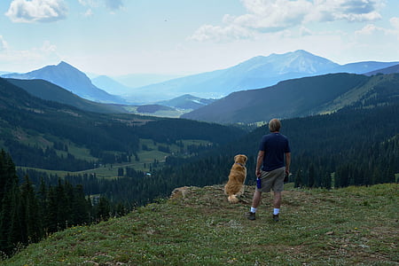 muntanya, veure, caminada, gos, paisatge, cel, blau