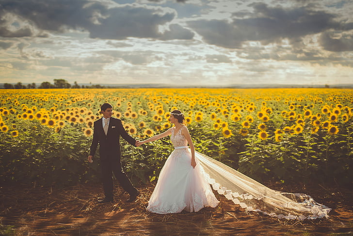 bride, couple, field, groom, landscape, love, married