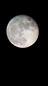 ดวงจันทร์, พื้นที่, กล้องโทรทรรศน์, คืน, วิทยาศาสตร์, ดาวเทียม, โหราศาสตร์