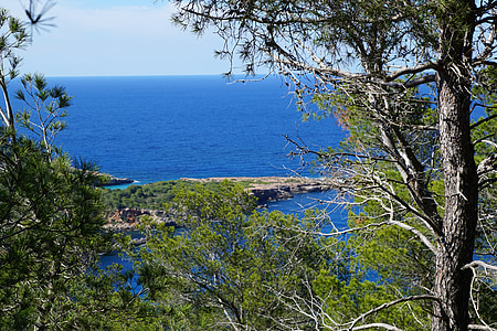 Eivissa, Mar, illa, l'aigua, Roca, vacances, veure