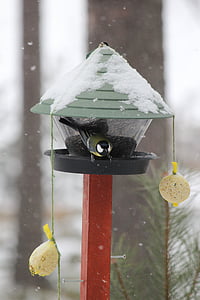 Fütterung der Vögel, Winter, Rantasalmi, Finnisch