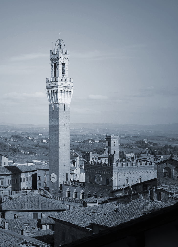 preto e branco, cidade, Siena, medieval, Itália, histórico, Toscana
