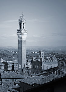 blanc i negre, ciutat, Siena, medieval, Itàlia, històric, Toscana