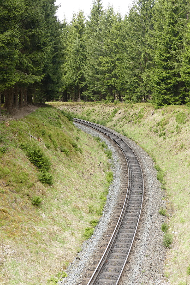 railway system, rail, 2 tracks, narrow gauge, harzquerbahn, curve, nature