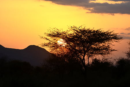 sončni zahod, vzhod, sonce, akacije, Afrika, Kenija, National park