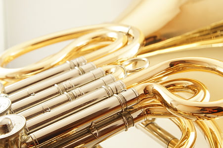 french horn, wind instrument, brass instrument, musical instrument, horn