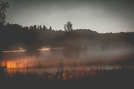 dawn, dusk, field, fog, grass, mist, nature
