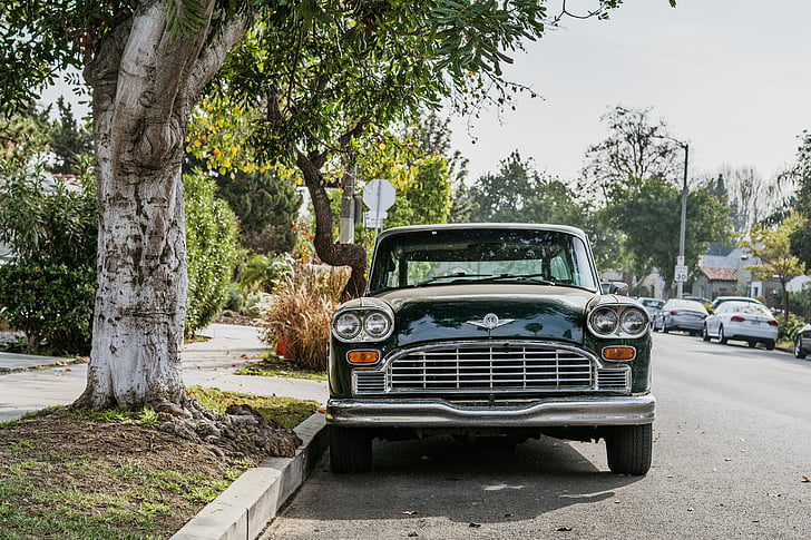 grå, Bentley, bil, nära, träd, bilar, Vintage