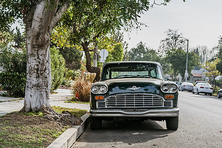 grå, Bentley, bil, nära, träd, bilar, Vintage