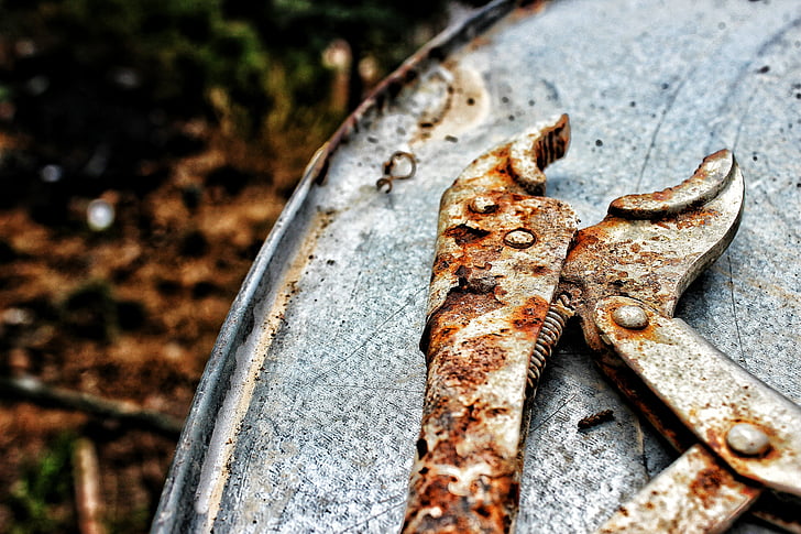 pliers, rusted, tool, old, pincers, no people, outdoors