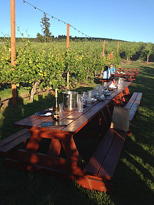 Vinárstvo, letné, obedovať, piknik, víno, vinice, americký vineyard