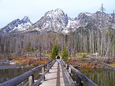 εθνικό πάρκο Grand teton, Ουαϊόμινγκ, γέφυρα, ξύλινα, πτώση, το φθινόπωρο, βουνά