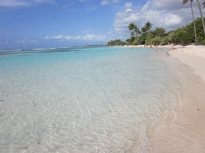 Playa, Isla, árboles de Palma, Guadalupe, Caribe, las Antillas Menores, agua