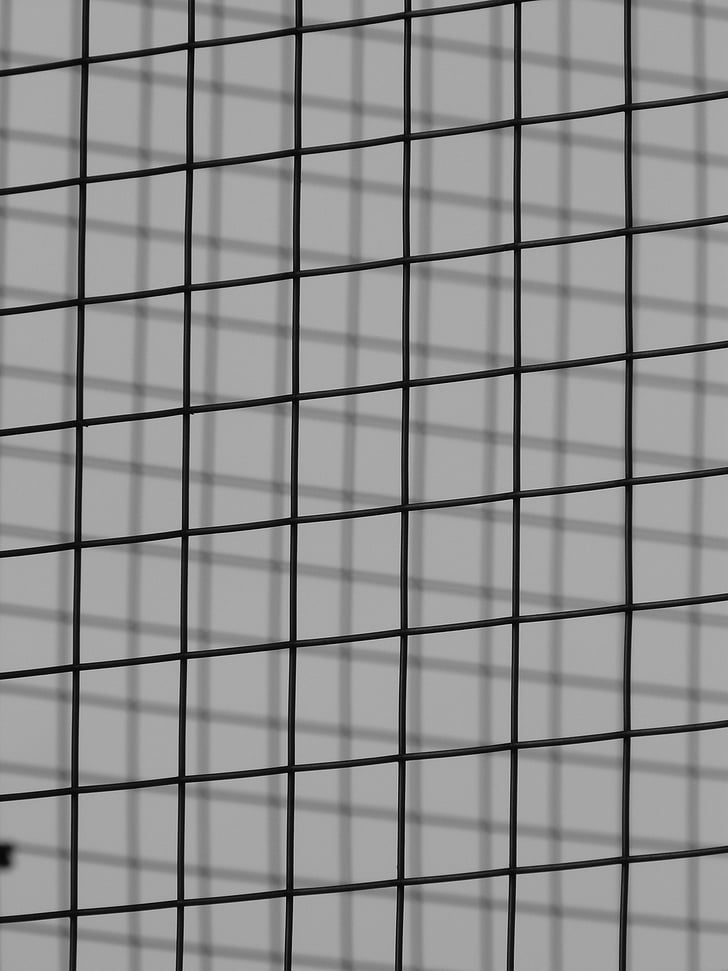 rutenett, stål rutenett, Metal, wire, svart-hvitt, arkitektur, vinduet