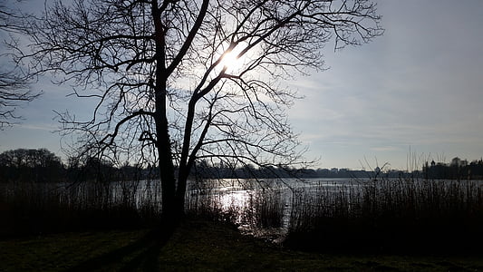 Germania, Potsdam, Lacul Sfânt, natura, Lacul, înapoi lumina, atmosfera