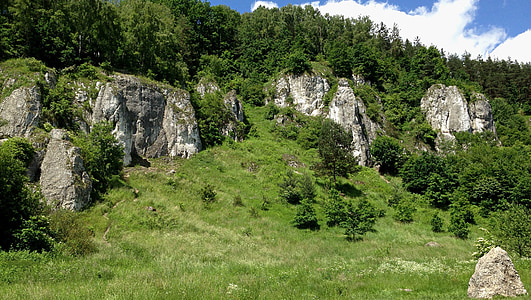 Jura krakowsko Čenstohova, kamnine, Poljska, krajine, narave, turizem, apnencev