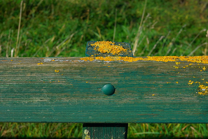 fence, pile, moss, pasture, wood, post, fence post