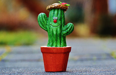 cactus, straw hat, face, funny, cute, funny face, decoration
