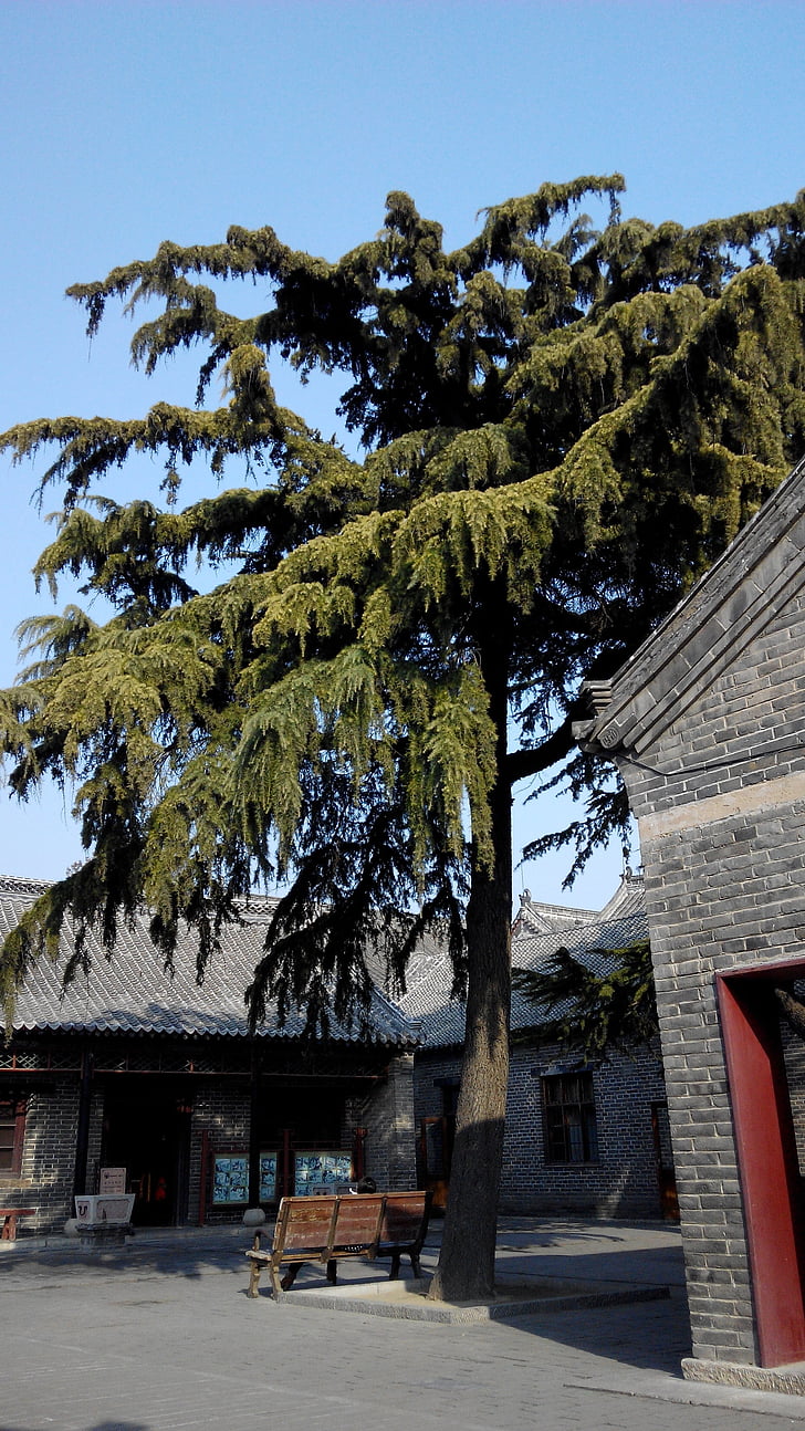Qufu Κίνα τρεις-τρυπών, δέντρα, το τοπίο