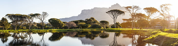panorama, cape town, golf course, pond, reflection, sunset, devils peak