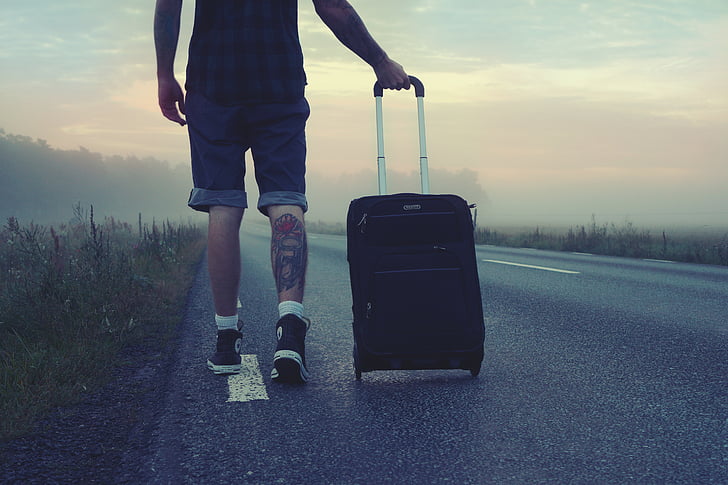 hiker, traveler, trip, travel, man, goes, suitcase