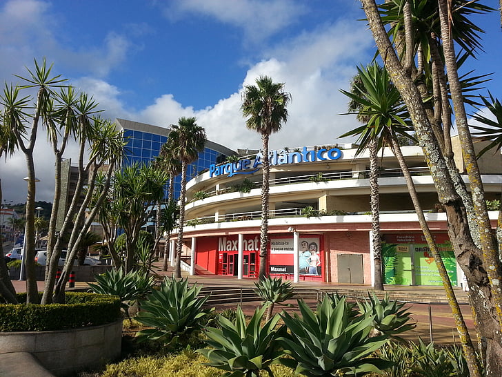 Parque atlantico, Ponta delgada, bygning, Azorerne, palmetræ, arkitektur, USA