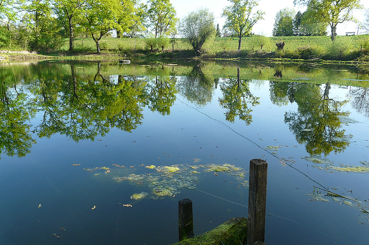 pond, water reflection, idyllic, mirroring, nature