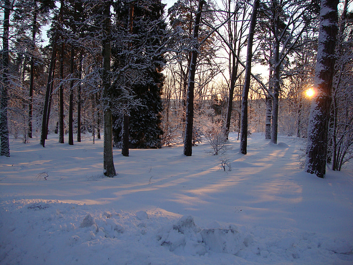 salida del sol, invierno, Parque de la ciudad, Jönköping