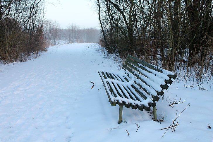 lavica, sneh, zasnežené lavica, cesta, prírodné, staré lavice