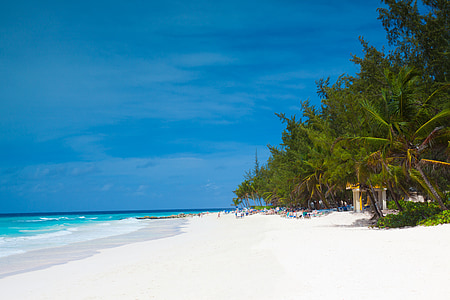 Barbade, plage, Caraïbes, Côte, exotiques, vacances, île