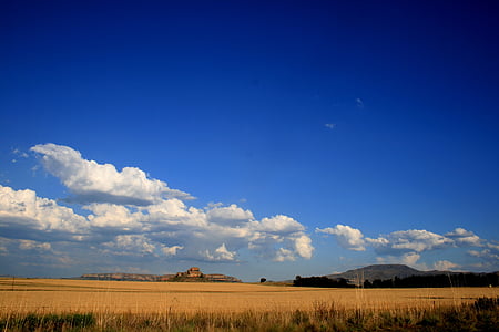 Veld, iarba, galben ocru, mare de cer albastru, alb nori, departe de munte, peisaj