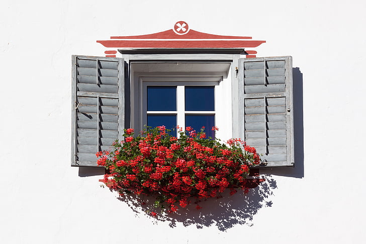 finestra, decoració floral, arquitectura, casa, planta, façana, obturador