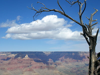 Büyük Kanyon, ağaç, çöl, Arizona, gökyüzü, seyahat, Ulusal