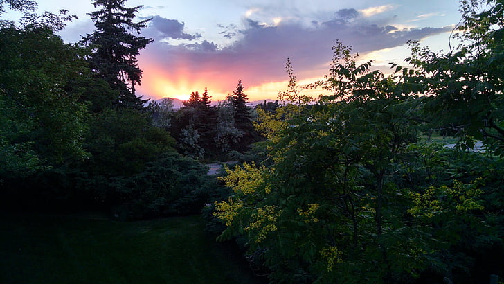 sunset, trees, silhouette, landscape, summer, sky, twilight