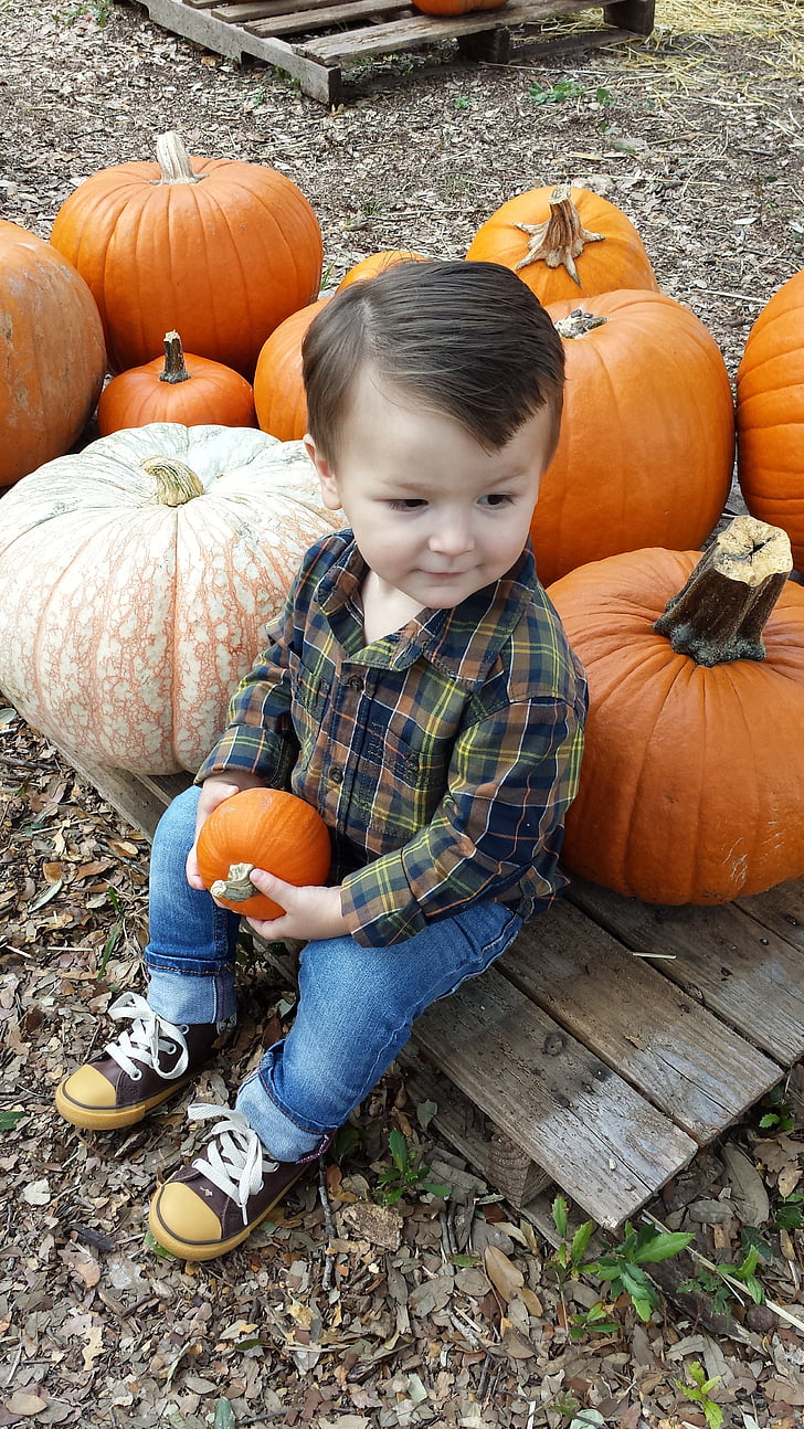 pumpkin, fall, boy
