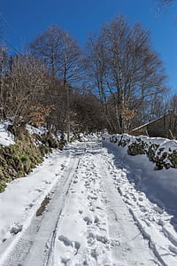 路径, 雪, 内华达, 冬天, 景观, 自然, 内华达州