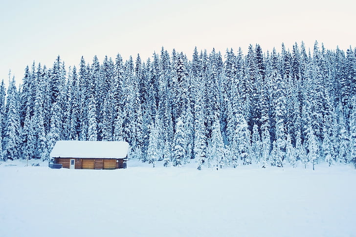 кабина, изолирани, студено, сняг, изоставени, зимни, студена температура
