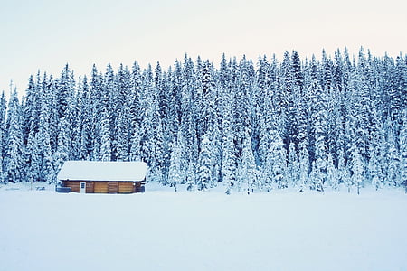 cabine, isolé, froide, neige, abandonné, hiver, température froide