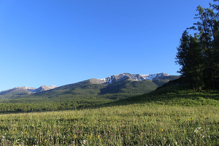 Prairie, Snow mountain, maisema, Xinjiang
