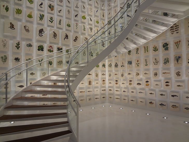 escadaria, coleção Brasiliana, Instituto itaú cultural, são paulo